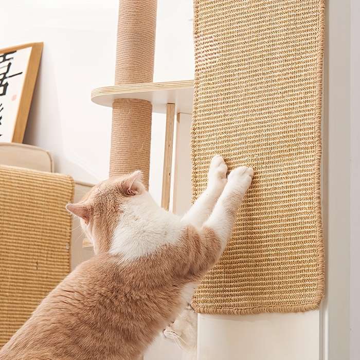 Pet supplies Quantity 1pc