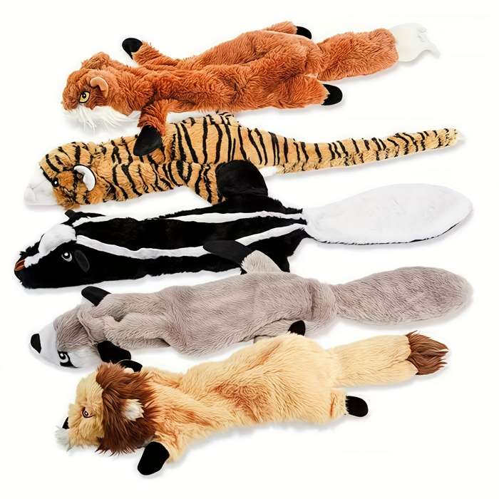 Toy Doll Quantity 5 Piece Set Type B