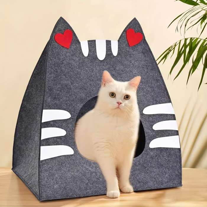 Pet supplies color Orange size Small Size