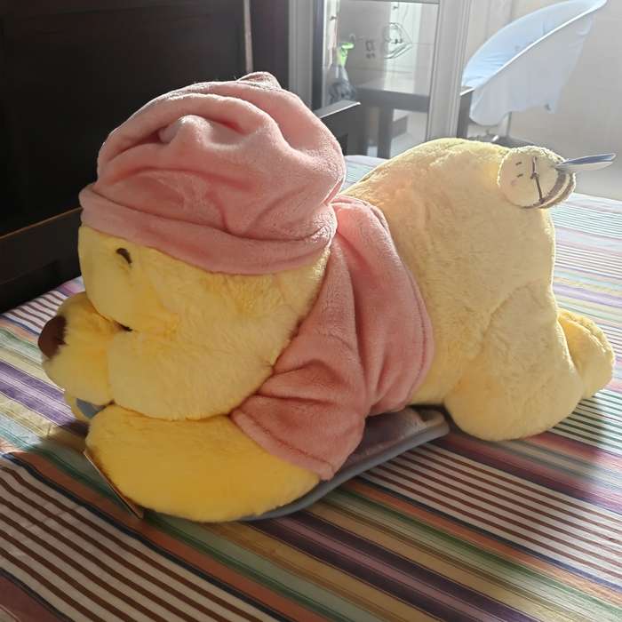 Toy Doll Items Pooh