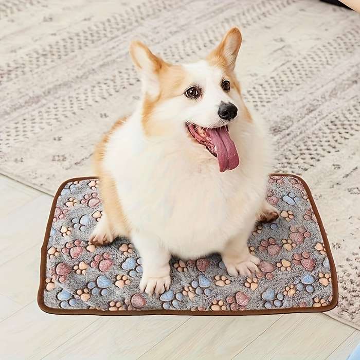 Pet supplies size S  59.94x 40.13cm  Quantity 5pcs