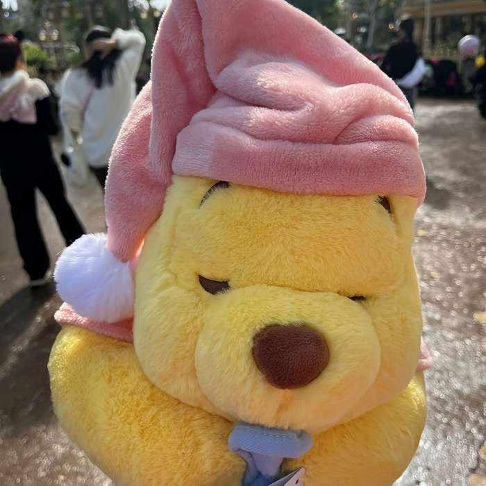 Toy Doll Items Pooh