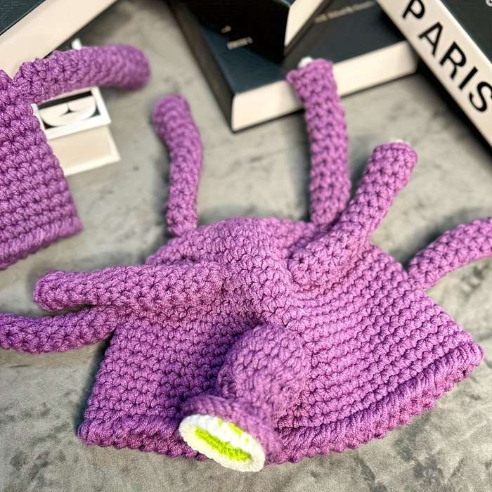 Winter Hat Color Purple