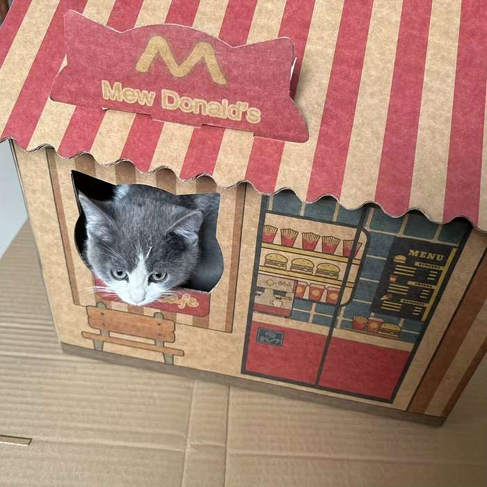 Pet Supplies Material Corrugated Paper Cat Nest