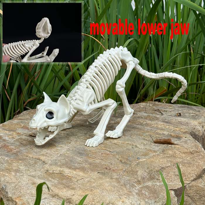 Halloween Decorations Style Realistic Skeleton Suit