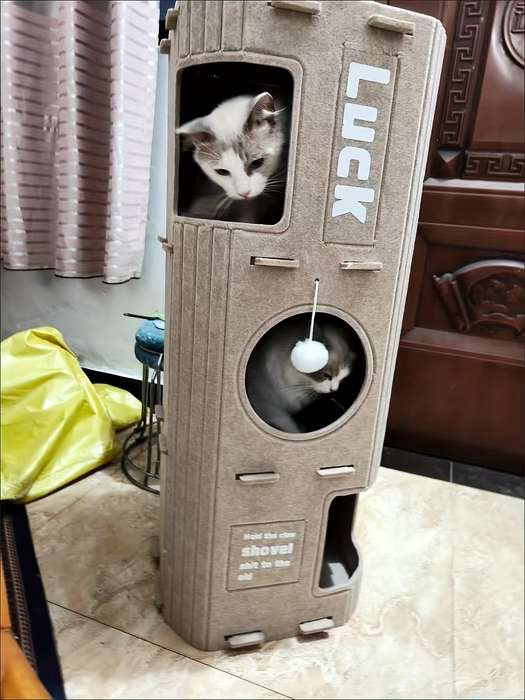 Pet supplies size 3 layers suitable for three cats