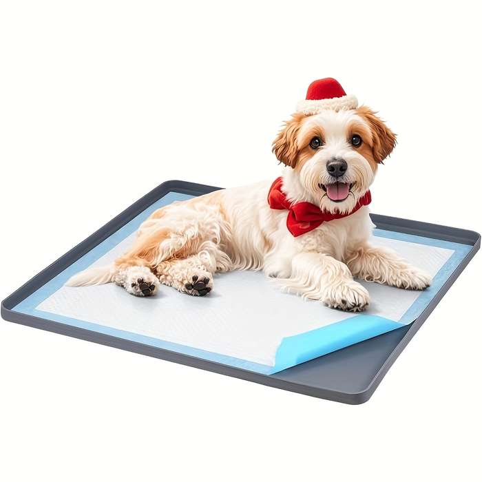 Pet supplies color grey