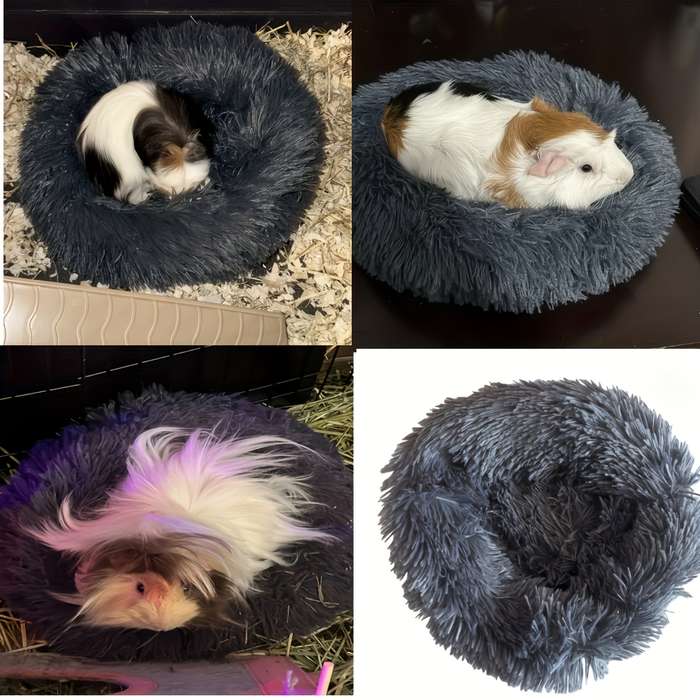 Pet supplies color Light Grey