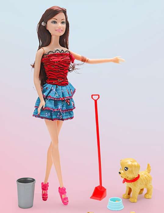 Toy Dolls Model 699 13  doll and accessories are random