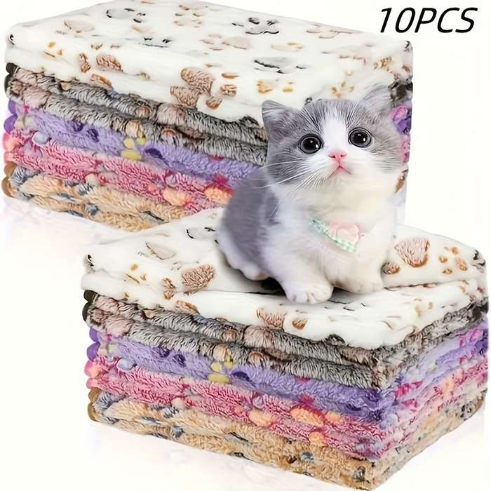 Pet supplies Quantity 10pcs