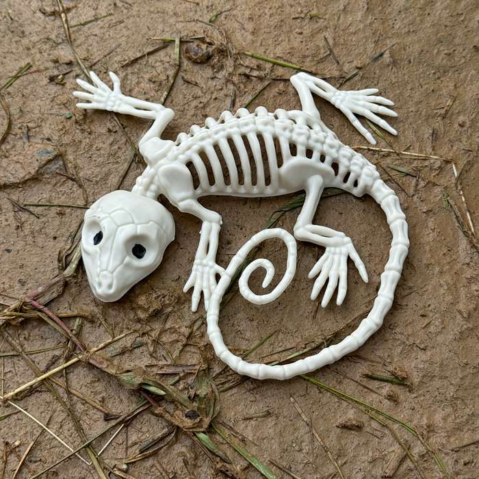 Halloween Decorations Style Realistic Skeleton Suit