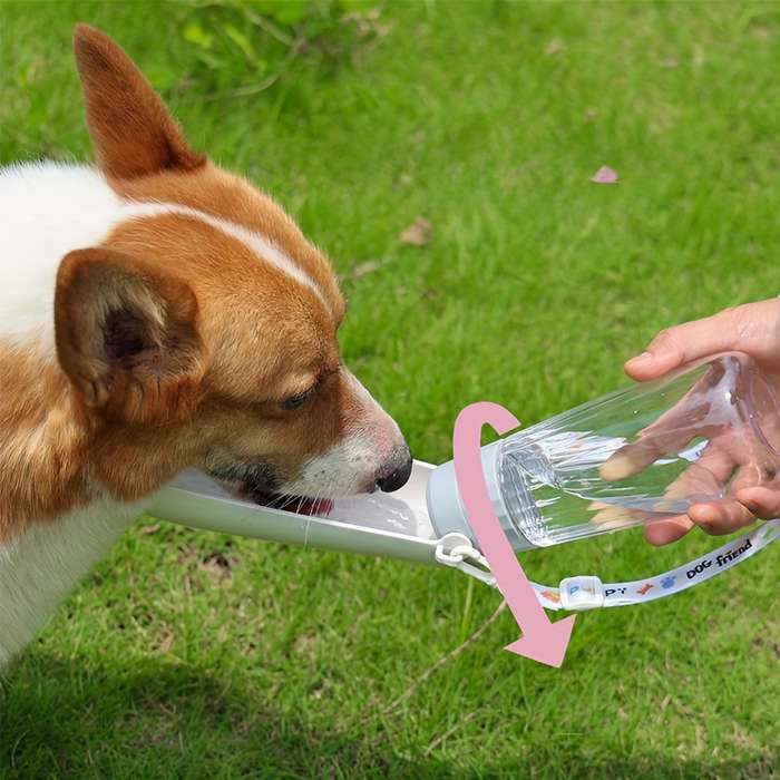 Pet Supplies Color White