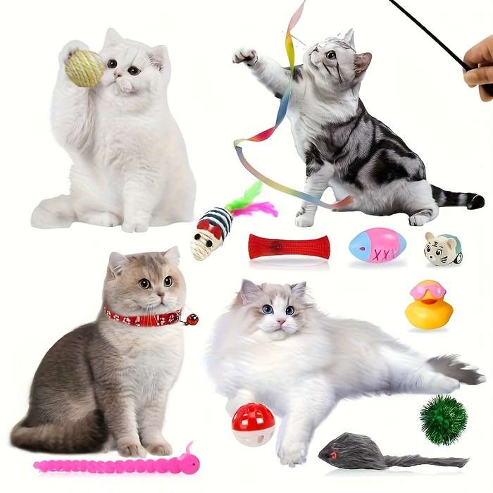 Pet Supplies Quantity 1Pc