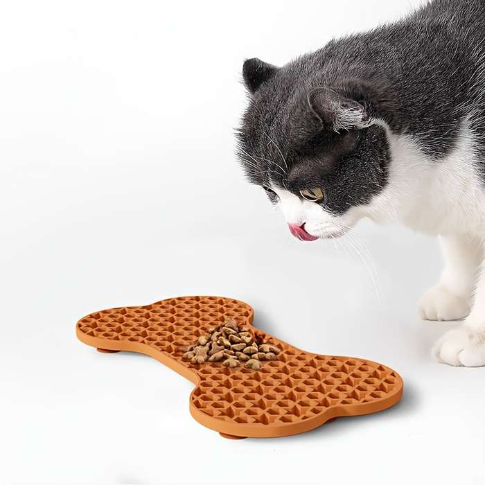 Pet Supplies Quantity 6Pcs