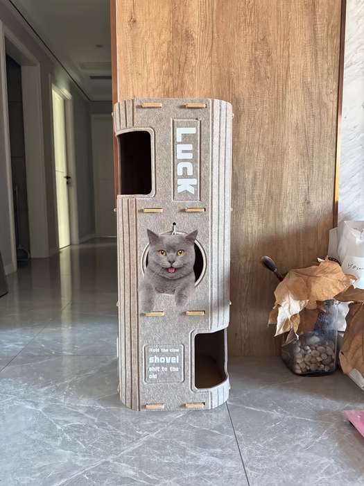 Pet supplies size 3 layers suitable for three cats