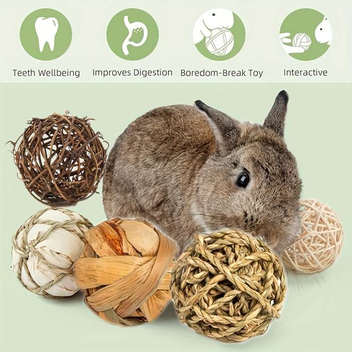 Pet Supplies Quantity 9Pcs