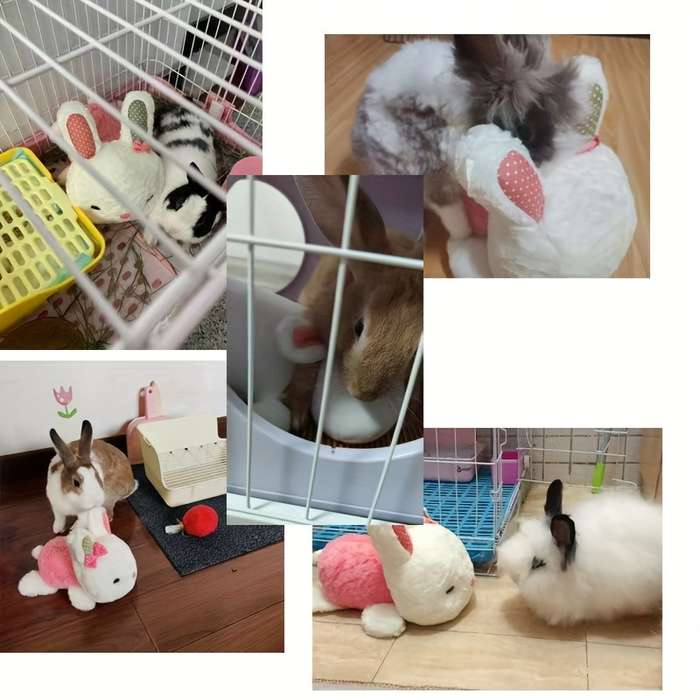 Pet Supplies Color Pink