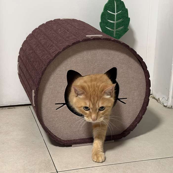 Pet supplies color Coffee color