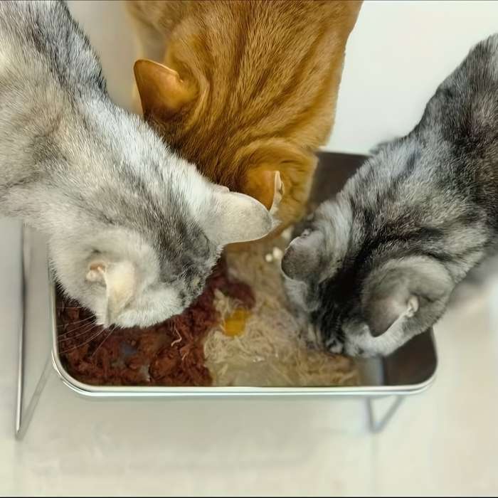 Pet supplies Quantity 1pc