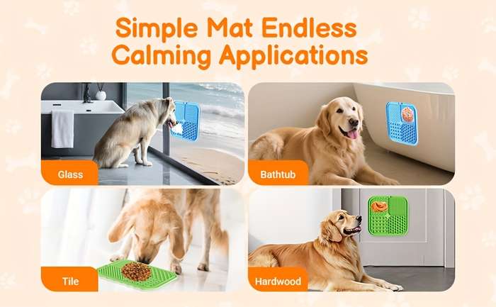 Pet Supplies Model Fr6