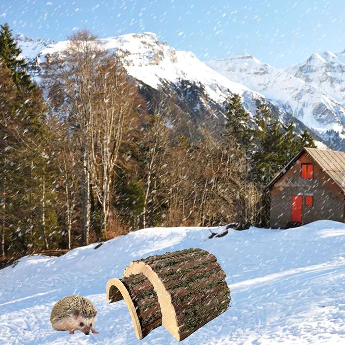 Pet Supplies Model Arch Hedgehog House