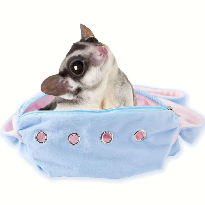 Pet Supplies Color Blue