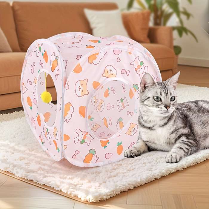 Pet supplies Style Short shape
