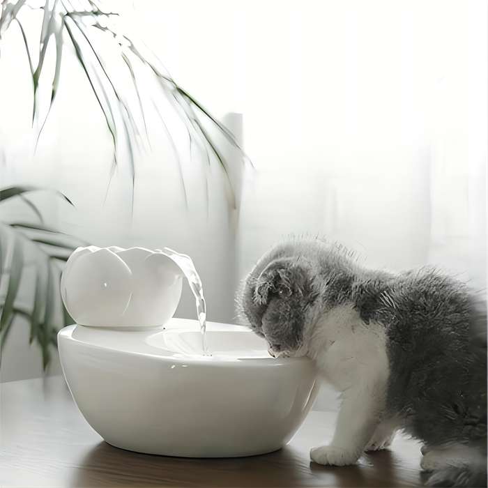 Pet Supplies Color White