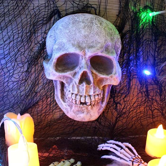 Halloween Decorations Color Front Skull