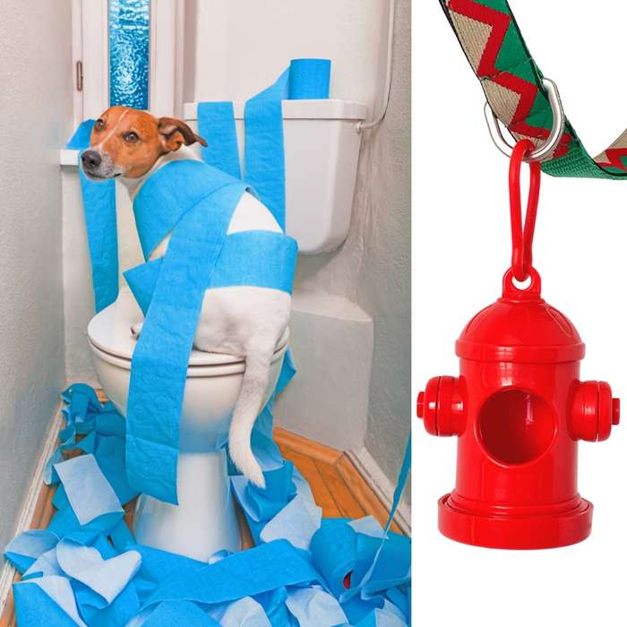 Pet supplies color  Red