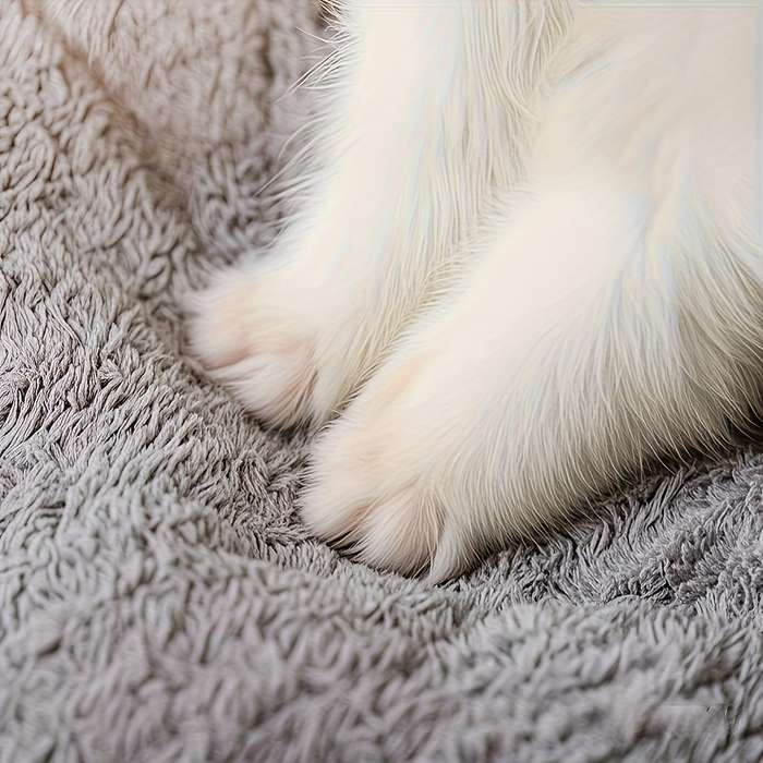 Pet supplies color Grey size XL