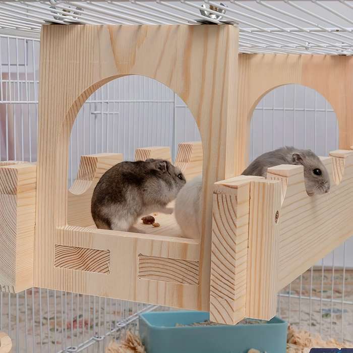 Pet Supplies Style Variety 1