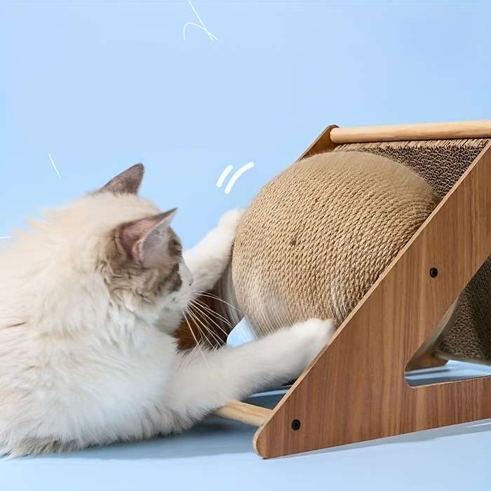 Pet Supplies Quantity 1Pc