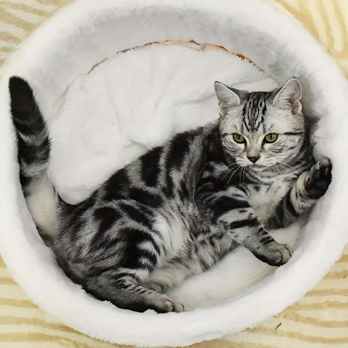 Pet supplies size 50CM  10KG