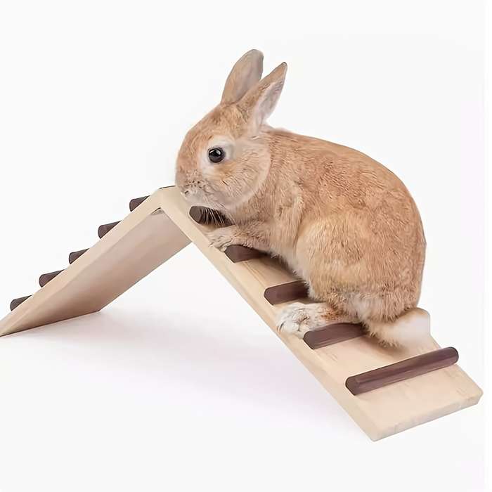 Pet supplies Quantity 1pcs Pet ladder