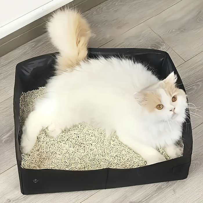 Pet supplies color Black