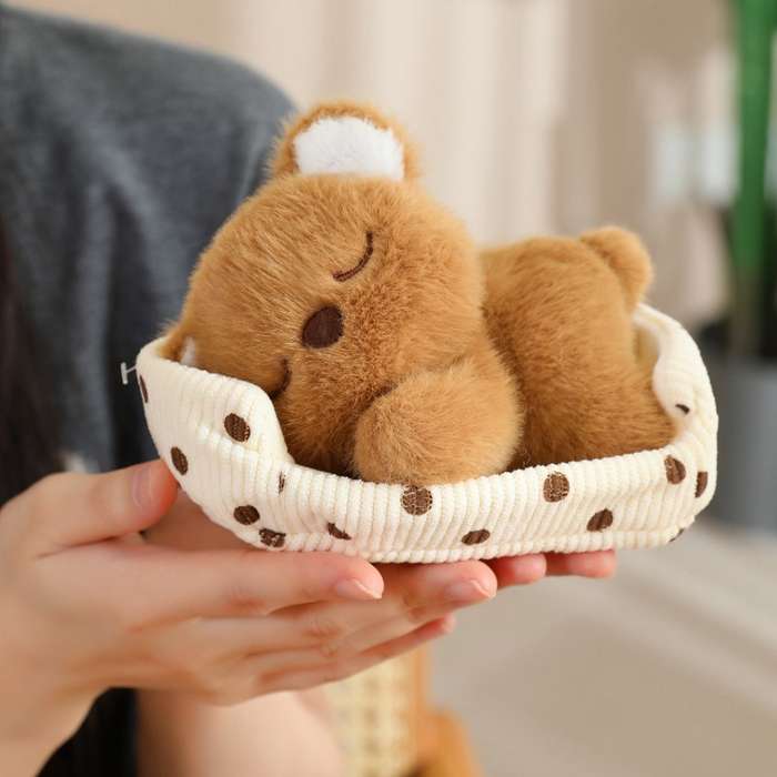 Toy Doll Style Pig