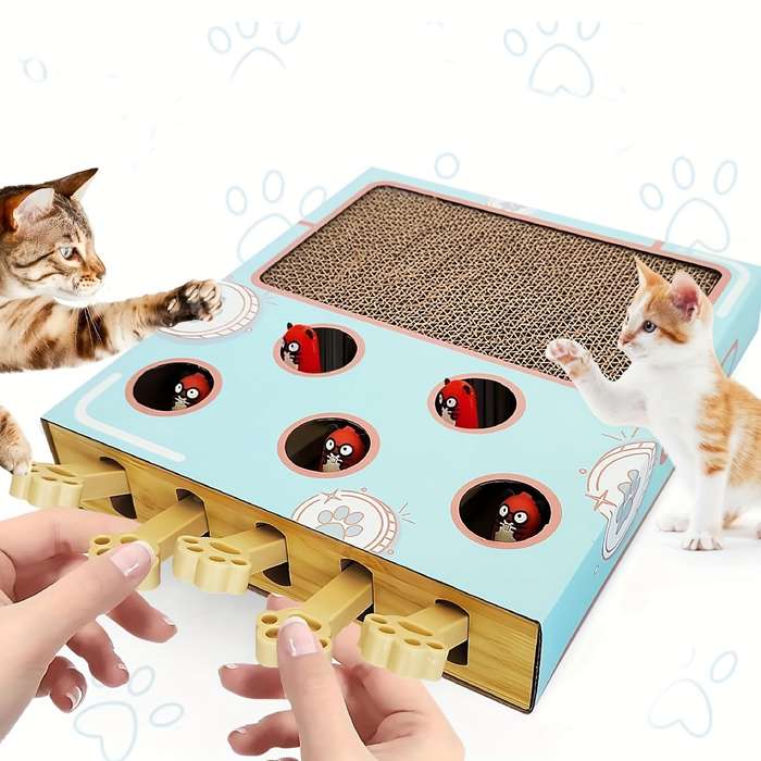 Pet Supplies Color Blue