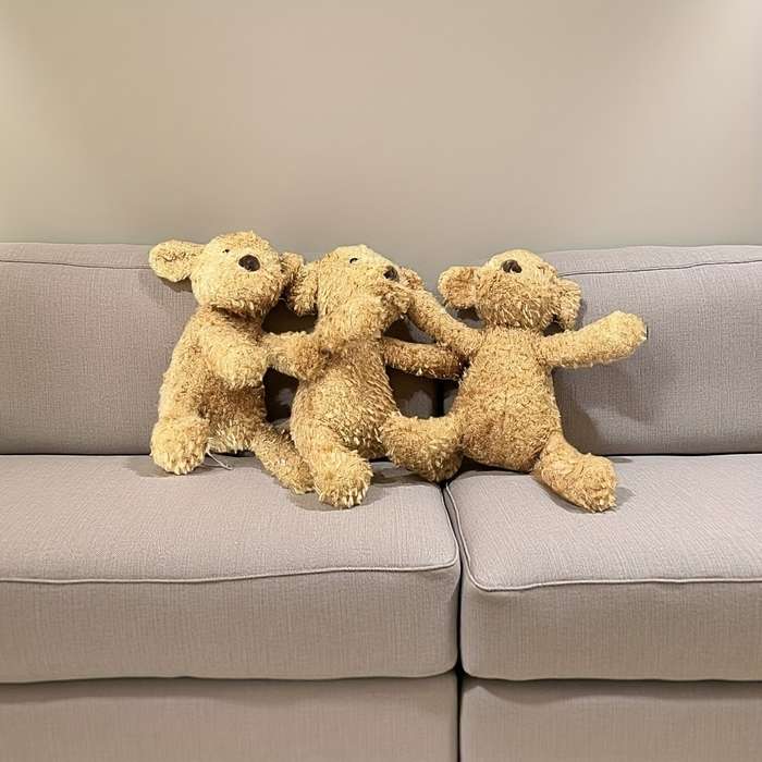 Toy Dolls color Golden Retriever