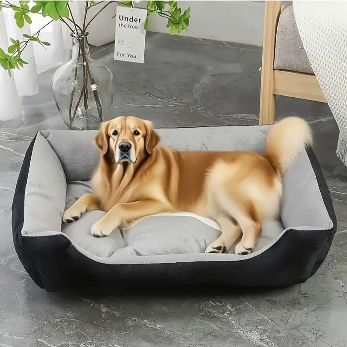 Pet supplies Model L Style  Add  Free Bite Rope