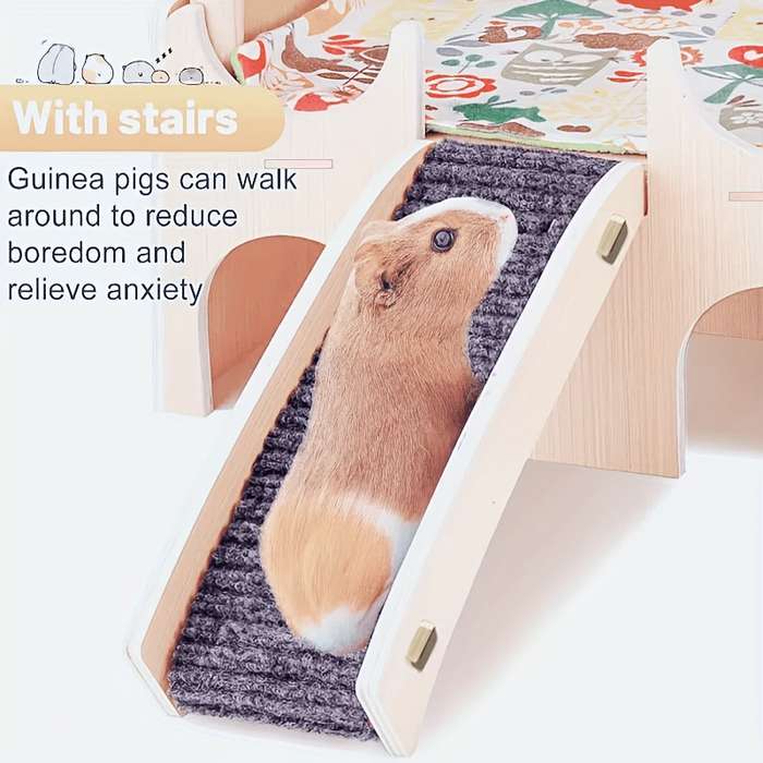 Pet Supplies Quantity 1Set