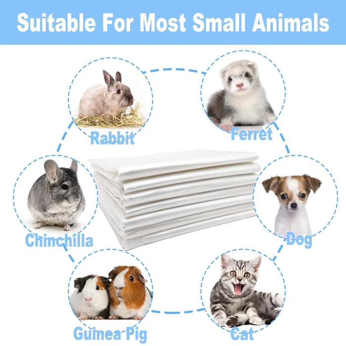 Pet Supplies Quantity 100 Pieces