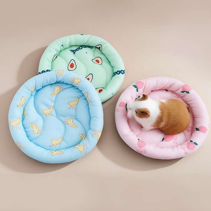 Pet supplies color Blue
