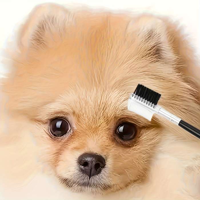Pet supplies Quantity Professional Tear Removal Four    Piece Set