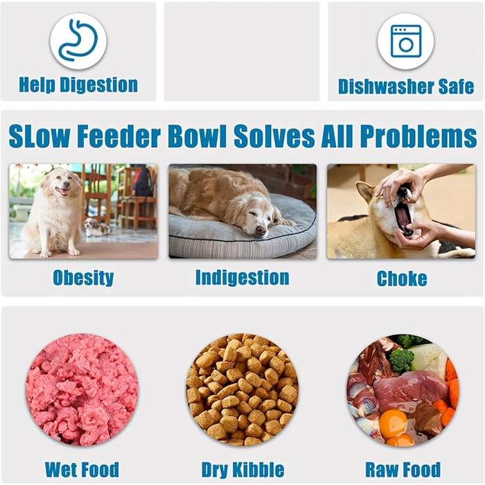 Pet Supplies Quantity 6Pcs