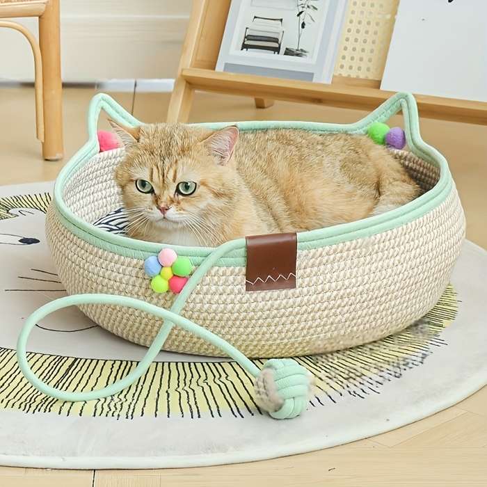 Pet supplies color Blue