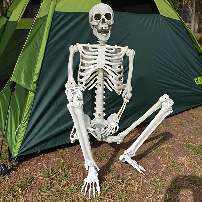 Halloween Decorations Model Human Skeleton