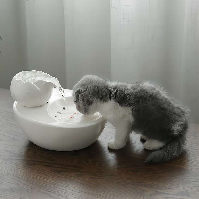 Pet Supplies Color White