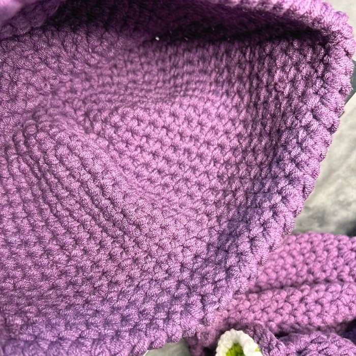 Winter Hat Color Purple