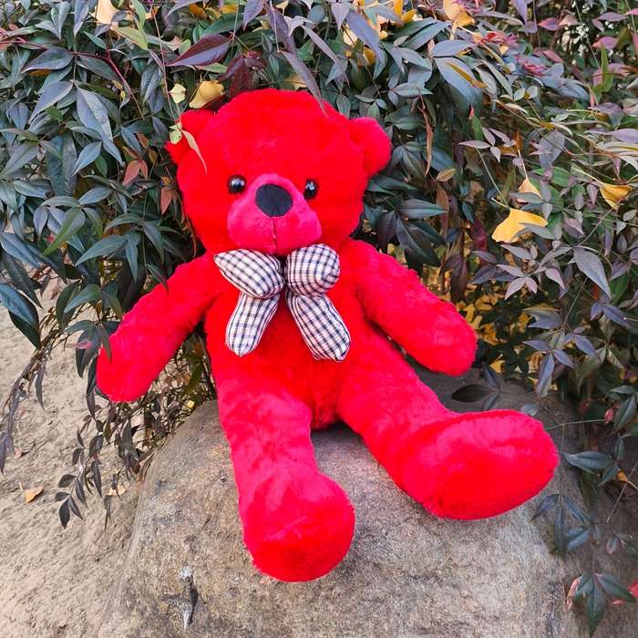 Toy Doll Color Red